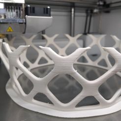 BIOMIMIKRY | LAMPENSCHIRM DER HÄNGELEUCHTE
