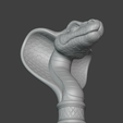 Screenshot-2025-08-14-125235.png Snake Staff Top