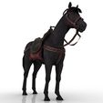 Horse_4.jpg Equipped Horse 3D model