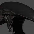 05.jpg Alien Xenomorph Head Decor Wearable Cosplay