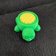 513088266_10163503050248055_916070862976363524_n.jpg Turtle Gyro Fidget-- Easy, fast print!