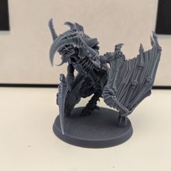 FREE SPACE FLIEGENDER KOMMANDANT BUG