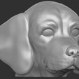 5.jpg Puppy of Pointer dog head for 3D printing