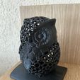 IMG_3947.jpeg Voronoi money box owl