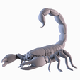 001.png Scorpion