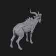 antelope_0007.jpg Antheron the Plains Charger