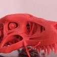 container_terminator-rex-3d-printing-16442.jpg Terminator REX