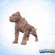 jpg_frame_20.jpg Chained Pitbull Spiked Collar Statue – RDW3D-QV8B0