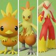 torchic-evolution.jpg pokemon torchic evolution pack