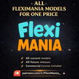 5.png Flexi Cute Orca - Print-in-Place Orca – No Supports Needed
