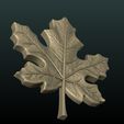 Maple_Leaf-x02.jpg Maple Leaf