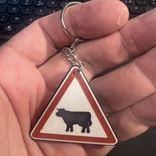 IMG_7817.jpeg Porte-clés Panneaux de circulation