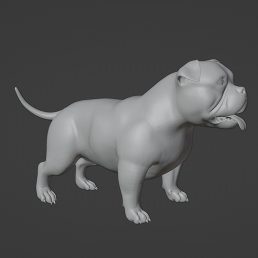 Capture-d’écran-2023-09-13-à-13.19.11.png American bully pitt-bull