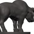 Buffalo-38.jpg Buffalo