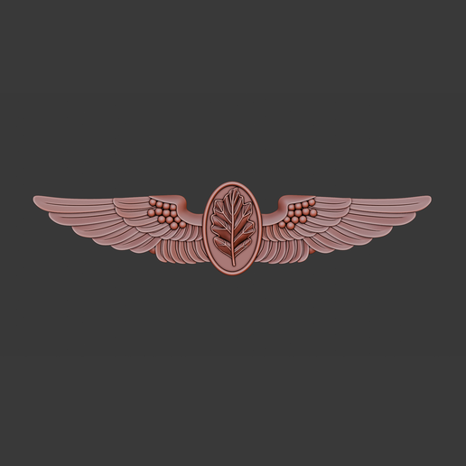 US Navy flight nurse wings 3d relief .stl file