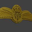 WW2-British-Royal-Air-Force-Wings-I-0013.jpg 二战英国皇家空军机翼 I