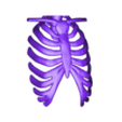 thorax_ant_skel.stl STL-Datei Human Skeleton kostenlos herunterladen • 3D-druckbares Modell, Cornbald