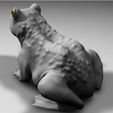 b79f76661c682637fa67083eee909138_preview_featured.jpg A frog