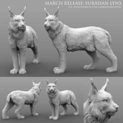 Eurasian lynx patreon release.jpg STL file Eurasian Lynx・3D printer model to download, LabradoriteWolf