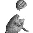 14.jpg Critters.2 options.STL.3d printable.