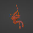 9.png 3D Model of Male Reproductive System and Veins