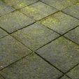 2.jpg Textura Mossy Pavement 8K PBR