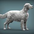 English-Setter4.jpg 3D-Datei English Setter 3D-Druckmodell・Modell zum Herunterladen und 3D-Drucken