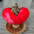 Corazon-Frente.jpg Personalized flower pot with drainage plate