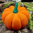 20221128_163840.jpg Pumpkin Shaped Container