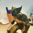 79016183_10157701659683905_2063335690959060992_o.jpg Free STL file wolverine・3D print object to download