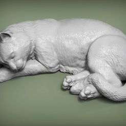 sleeping-cat1.jpg Fichier 3D modèle d'impression 3D d'un chat endormi・Plan pour impression 3D à télécharger, akuzmenko