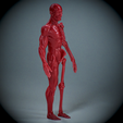 Untitled_Viewport_020.png Human anatomy Human anatomy ready to print Halloween Pumpkin