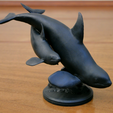 001.png Orca and Calf