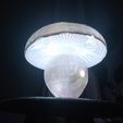 pic-1.jpg Mushroom lamp "The whitish boletus