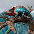 Furcifer-Pardalis-NosyBeII_Tree_Base1.jpg Panther chameleon - (Furcifer pardalis NosyBe) -3D print file-with full-size texture high-polygon