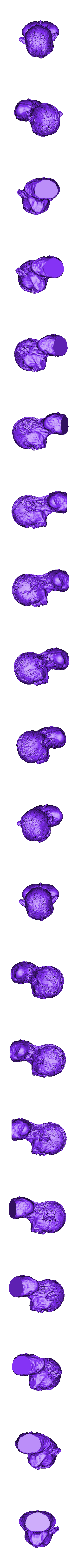 Golum_LOW_final.stl Golum büstü, Yüzüklerin Efendisi'nden