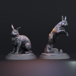 zajedno21FS.png Rabbit 3d print model pre-supported - Two variations