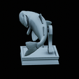 Bass-trophy-37.png Largemouth Bass / Micropterus salmoides fish in motion trophy statue detailed texture for 3d printing