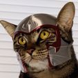 IMG_3301.jpeg Magnito Cat Helmet (X-Men)🪙