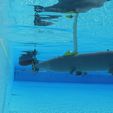 IMG_6704.jpg Submarine Dolphin 2