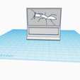 ant-species-label-display-2.png Ant Species Label Display Holders