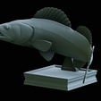zander-trophy-44.png zander / pikeperch / Sander lucioperca fish in motion trophy statue detailed texture for 3d printing