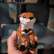 River Otter Articulated Fidget Figure, 3mf included, Print in place , cute flexi