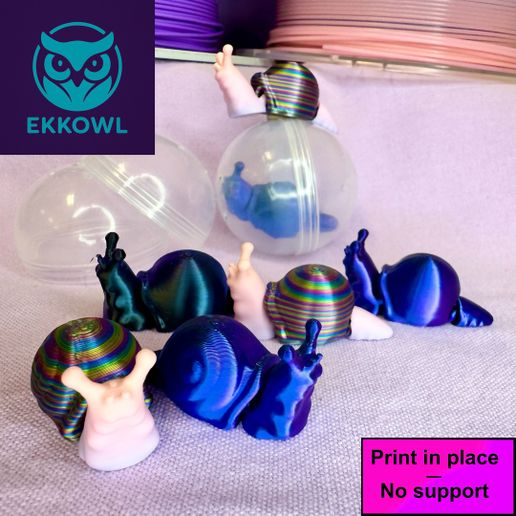 L'escargot articulé
