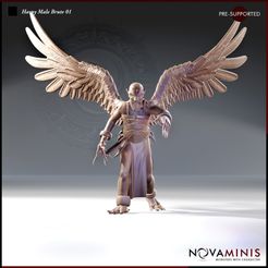 REN-009-Dec23-R38-Harpy-Male-Brute-01-PAT-SM-STORE.jpg Harpy Male Brute 01