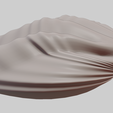 image-7.png Fan Shape Shell