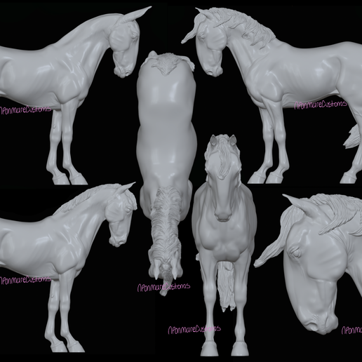Mule,warmblood, and Roman nose horses