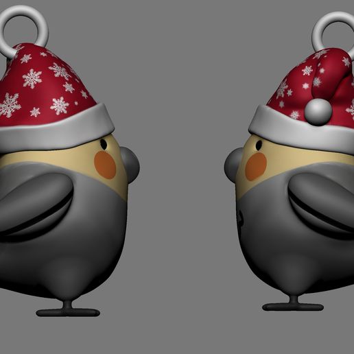 Christmascap_cockatiel.jpg Natalina cockatiel avec chapeau de père Noël