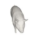 10001.jpg Pig- farm animal