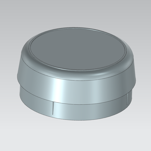 SSR Mk2 Wheel Centre Cap